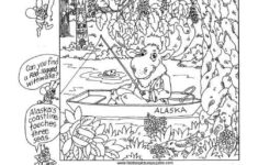 323 Hidden Treasures 50 States Of Fun By Liz Ball GIVEAWAY