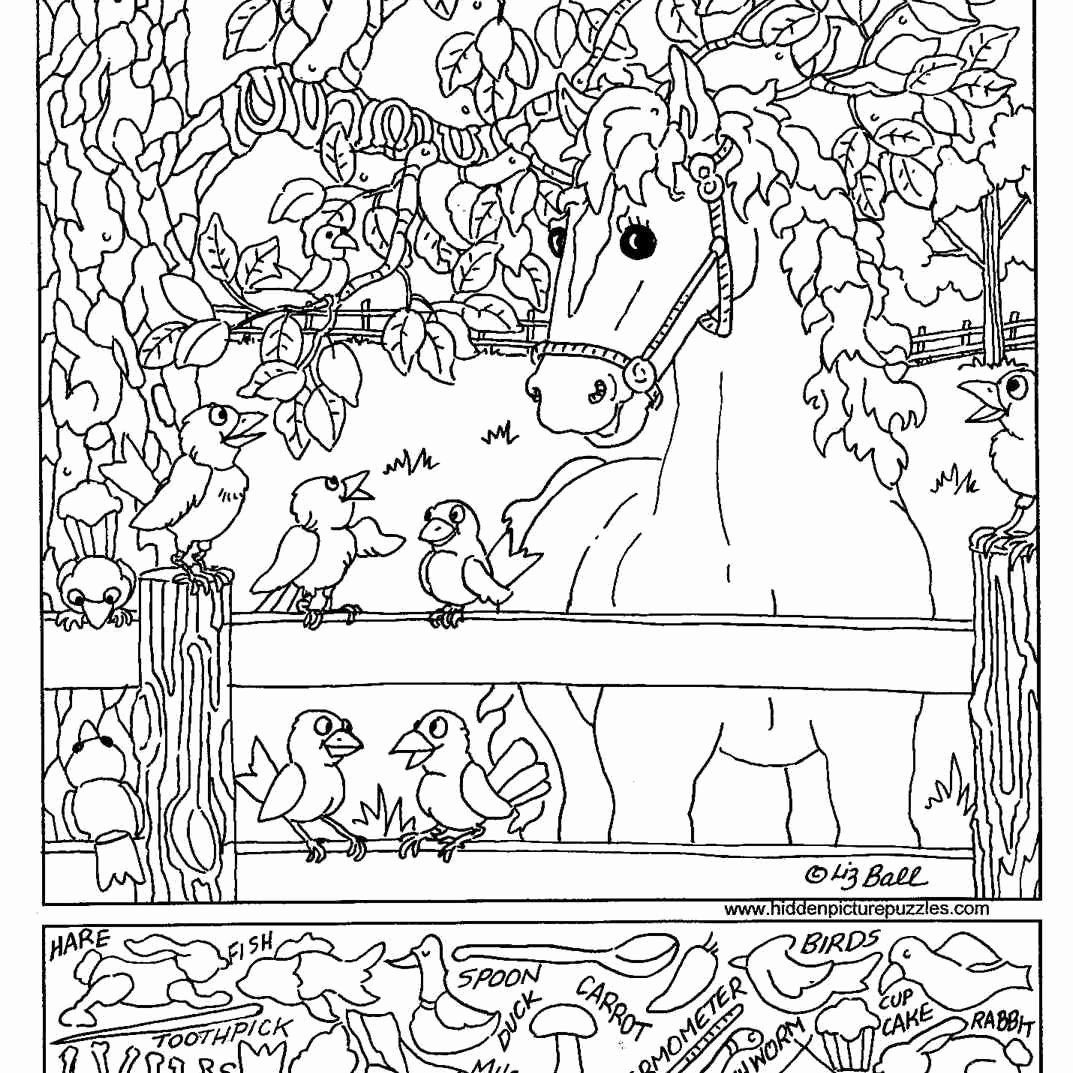 Camping Hidden Pictures Printable Hidden Pictures Printable