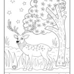 Christmas Reindeer Find The Item Activity Woo Jr Kids Activities