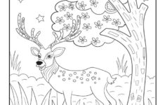 Christmas Reindeer Find The Item Activity Woo Jr Kids Activities