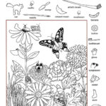 Easy And Hard Hidden Pictures Worksheet Pintable 101 Activity