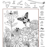 Easy And Hard Hidden Pictures Worksheet Pintable 101 Activity