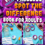 Fabulous Spot The Difference Book For Adults Picture Puzzle Books For