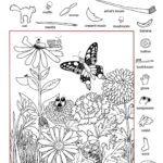 Find The Hidden Pictures Worksheets