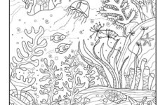 Great Barrier Reef Find The Object Printable Woo Jr Kids Activities