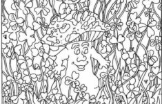 Happy St Patrick s Day Hidden Pictures Printables