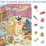 Hidden Objects Pets Puzzle Prime