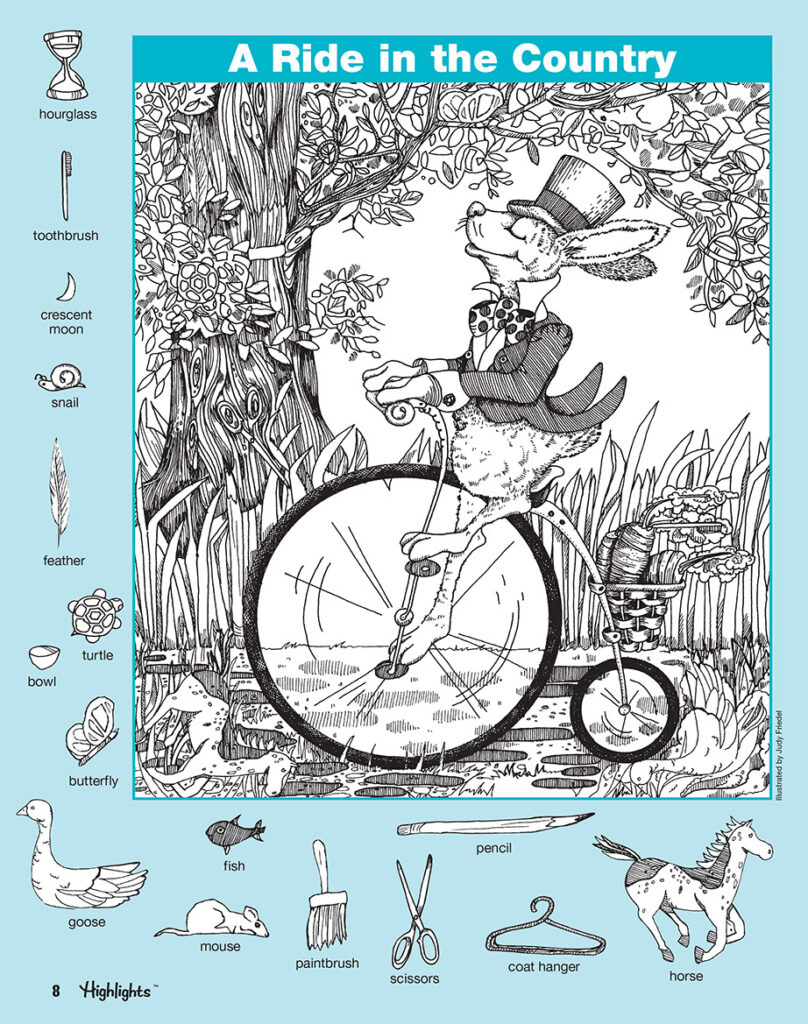 Hidden Pictures Book 2 Series 6 Scholastic Learners | Hidden Pictures ...