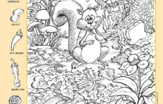 Hidden Pictures Book 3 Series 6 Scholastic Learners