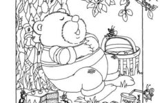 Hidden Pictures Publishing Hidden Picture Puzzle By Liz Ball Hidden