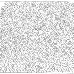 Maze Cat Mouse Maze As A JPG File As A PDF File Hidden