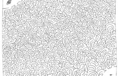 Maze Cat Mouse Maze As A JPG File As A PDF File Hidden