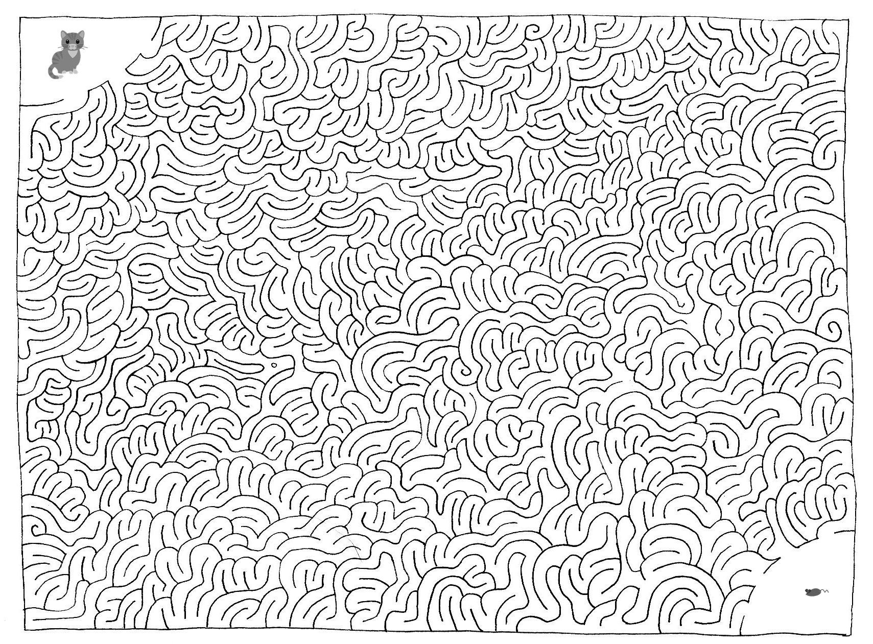 Maze Cat Mouse Maze As A JPG File As A PDF File Hidden 