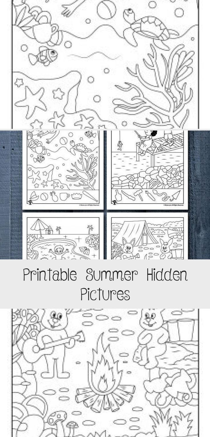 Printable Summer Hidden Pictures KIDS In 2020 Hidden Pictures Fun 