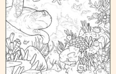 Quizzes Kids Answers Hidden Picture Hidden Pictures Hidden