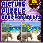 Supreme Picture Puzzle Books For Adults Hidden Picture Books For