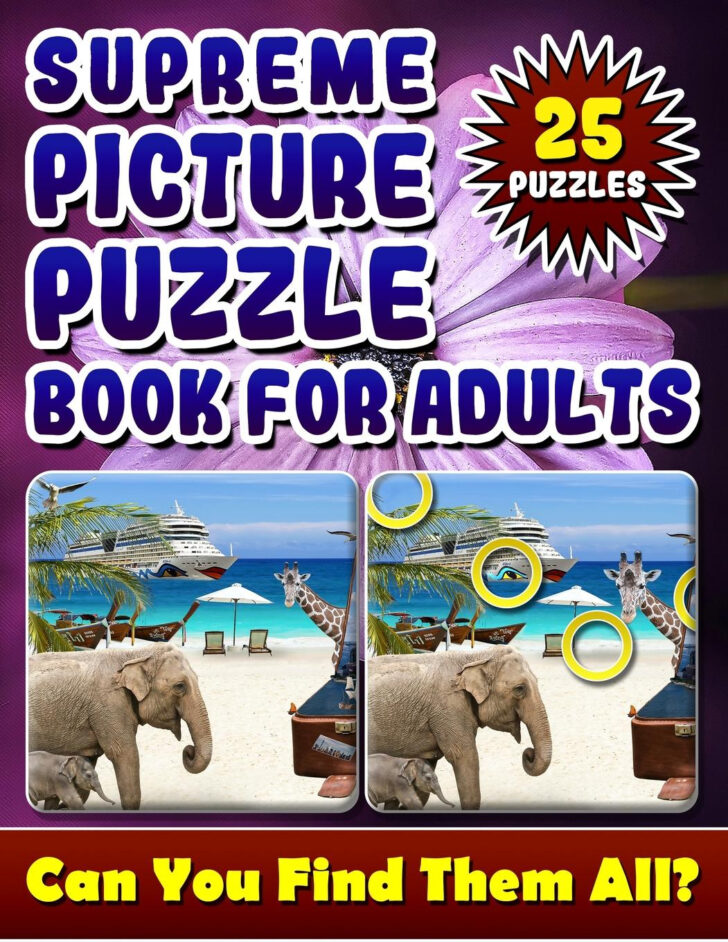 Adult Hidden Picture Puzzle Books