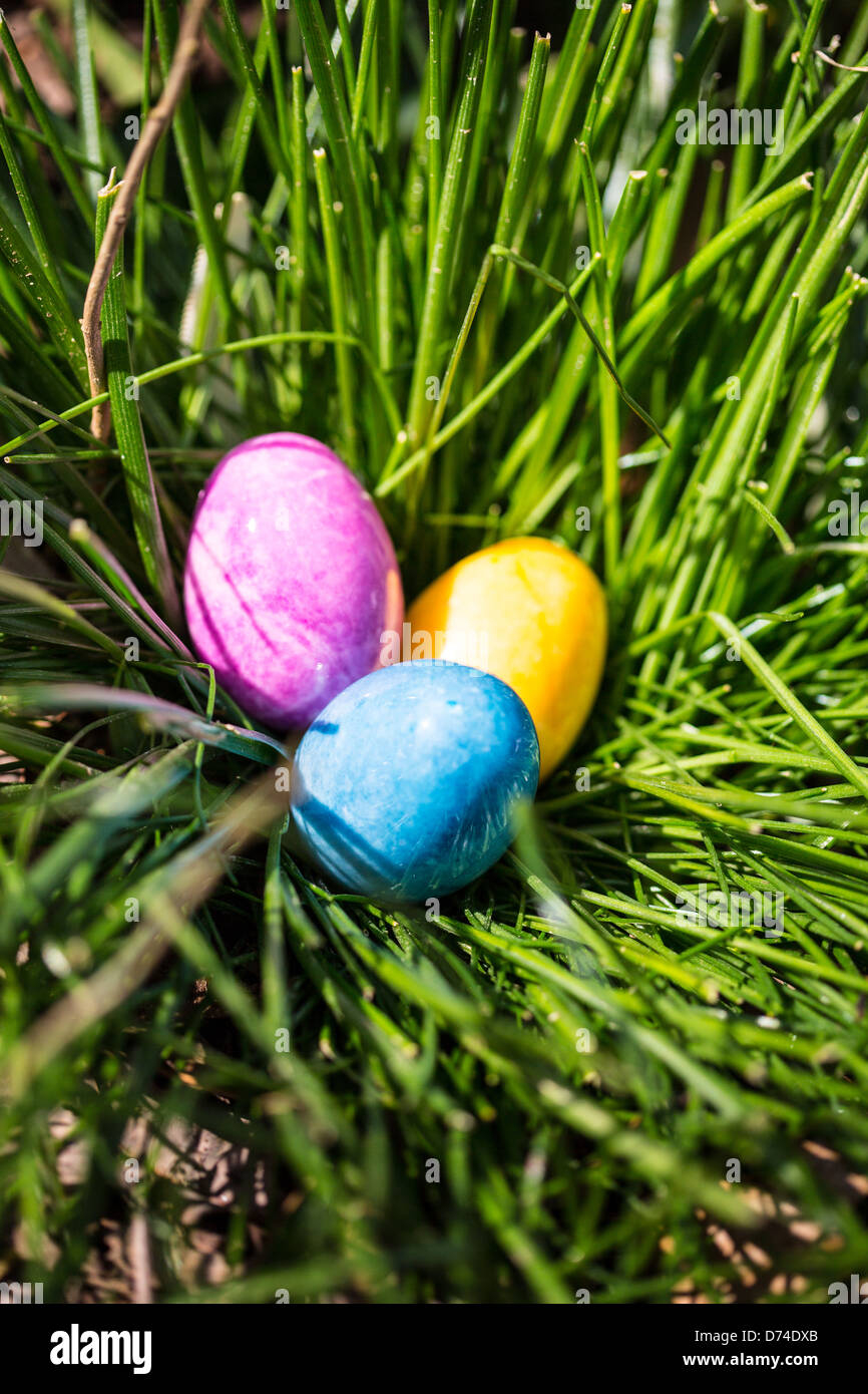 Alabaster Easter Eggs Hidden In A Patch Of Grass For The Kids To throughout Hidden Easter Eggs In Pictures