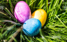 Alabaster Easter Eggs Hidden In A Patch Of Grass For The Kids To within Hidden Easter Eggs Pictures