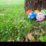 Easter Eggs Hidden Behind A Tree Trunk For The Hunt Game In Hidden Easter Egg Pictures