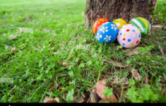 Easter Eggs Hidden Behind A Tree Trunk For The Hunt Game in Hidden Easter Egg Pictures