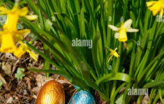 Festivals, Religious, Easter, Egg Hunt, Chocolate Eggs Hidden In regarding Easter Hidden Pictures Religious