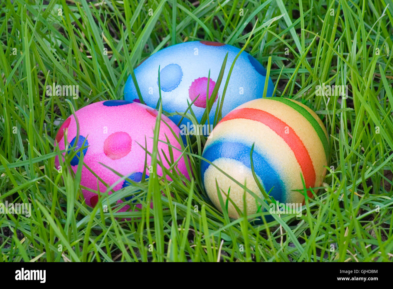 Hidden Easter Eggs Hi-Res Stock Photography And Images - Alamy throughout Hidden Easter Eggs In Pictures