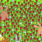 Only 1% With Eagles Eyes Vision Can Spot An Easter Egg Among Inside Easter Egg Hidden Picture