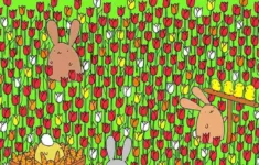Only 1% With Eagles Eyes Vision Can Spot An Easter Egg Among with Easter Hidden Picture Answers
