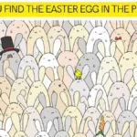 Viral Brain Teaser: Impossible! Only 2% Of Genius Can Find The In Easter Egg Hidden Picture