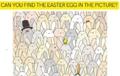 Viral Brain Teaser: Impossible! Only 2% Of Genius Can Find The within Hidden Find The Easter Egg Picture