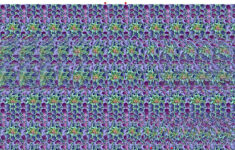 3-D View Of A New Year Greeting (2000 --> 2001 - Apte) regarding 3 Dimensional Hidden Pictures