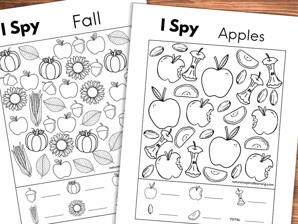 8 Fall I Spy Printables - Nature Inspired Learning with Printable Large Print Hidden Objects