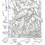 At Home In The Sea Worksheet   Worksheets Library With Ocean Hidden Picture Printable