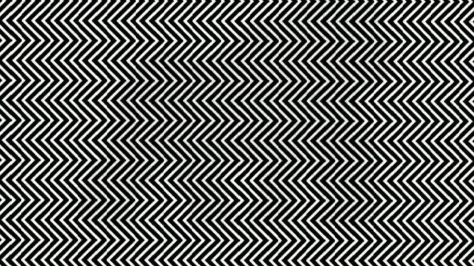 Baffling Optical Illusion Leaves People Saying &amp;#039;Can&amp;#039;T See Anything regarding Hidden Pictures In Optical Illusions