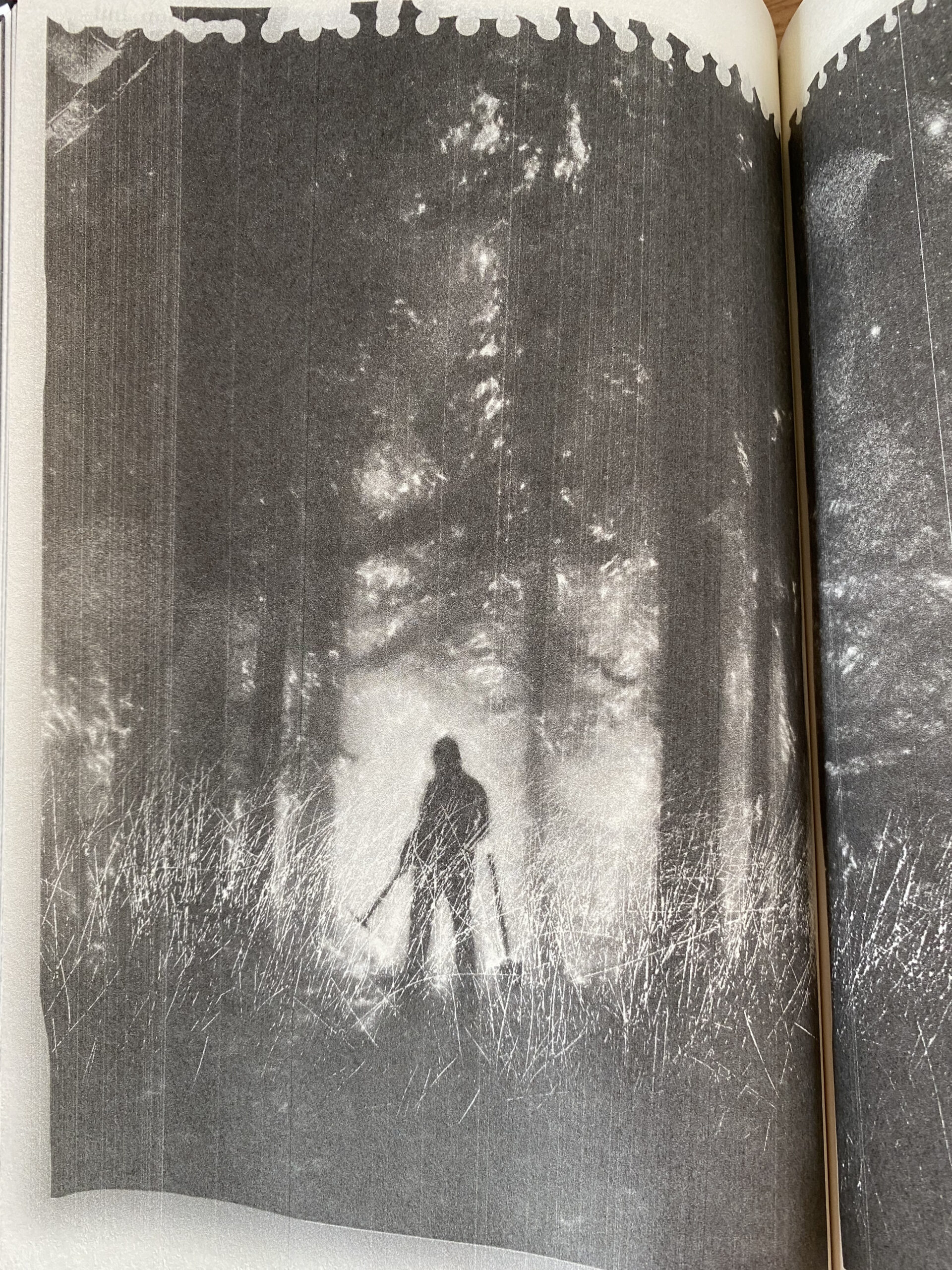 Blog Tour, Review, And Giveaway: “Hidden Pictures” – The Library with Hidden Pictures Jason Rekulak Drawings