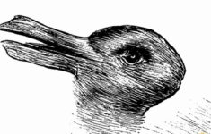 Brain Games: Do You See A Duck Or A Rabbit In This Image? with Hidden Pictures Puzzles Ducks &amp; Bunnies