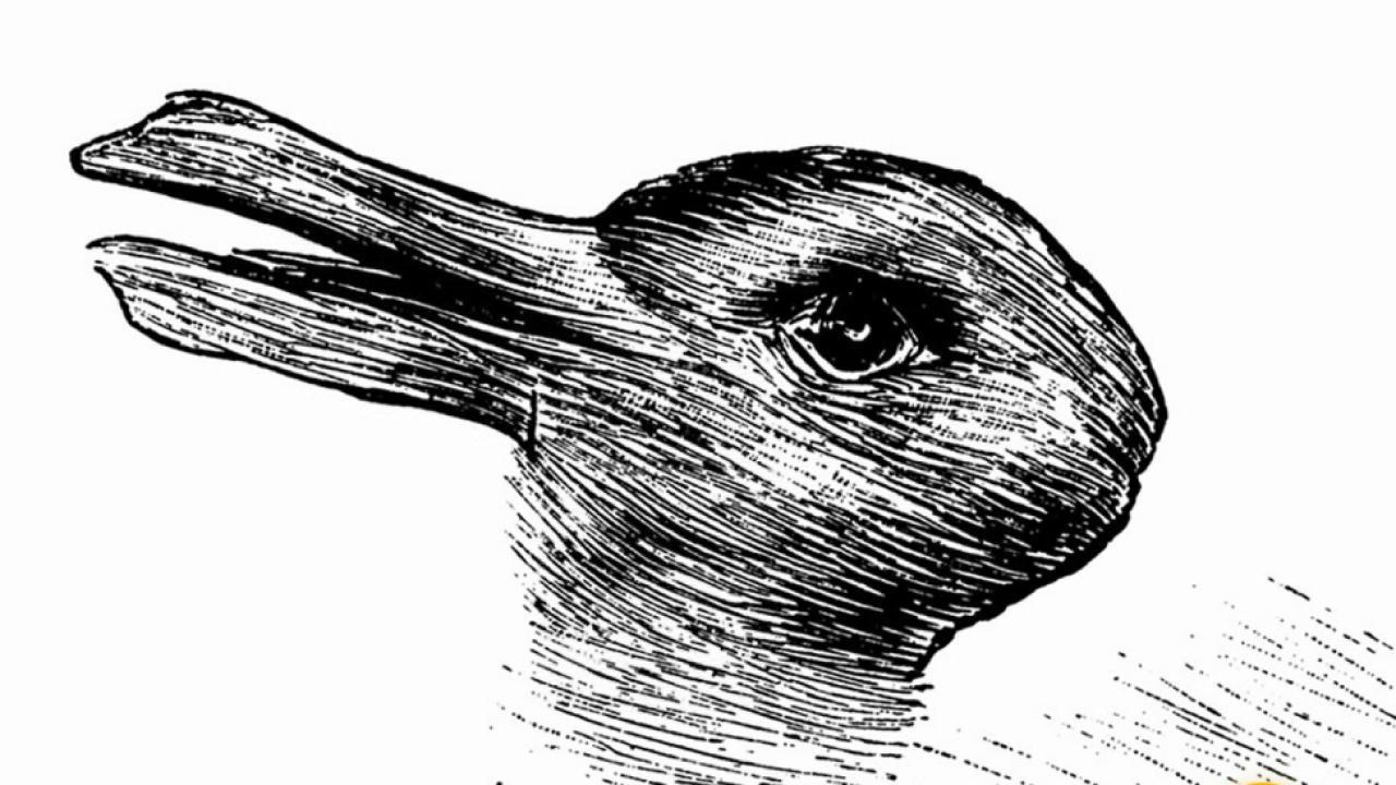 Brain Games: Do You See A Duck Or A Rabbit In This Image? with Hidden Pictures Puzzles Ducks &amp;amp; Bunnies