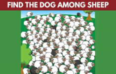 Brain Teaser Iq Test: Find The Dog Among The Herd Of Sheep In 5 inside Sheep Find a Hidden Picture Page