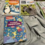 Buy Highlights Magazine Hidden Pictures 160 Items 2 Find Color Fun Throughout Scholastic Find The Hidden Pictures