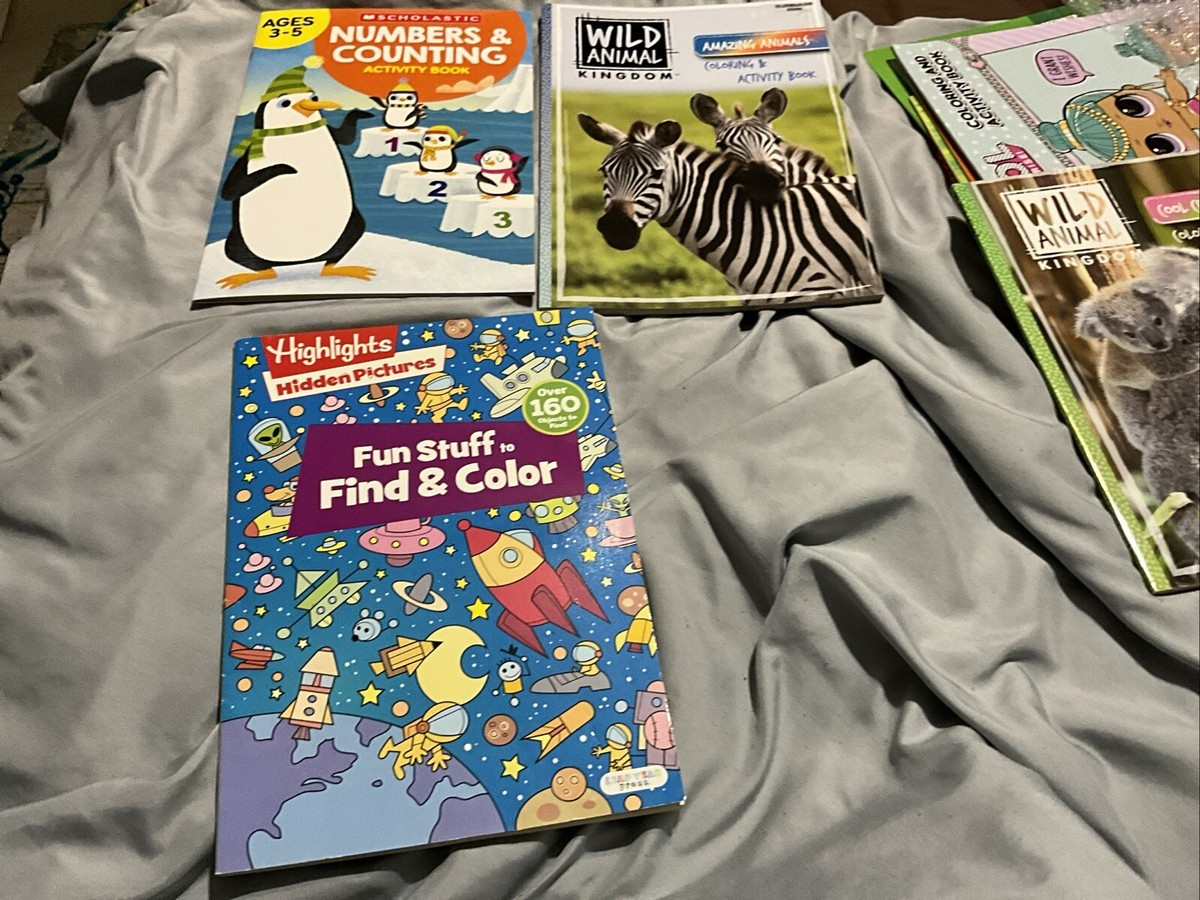 Buy Highlights Magazine Hidden Pictures 160 Items 2 Find Color Fun throughout Scholastic Find the Hidden Pictures