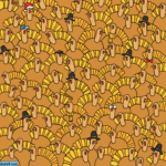 Can You Find A Pumpkin Among The Turkeys? In Dudolf Hidden Pictures With Answers