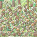 Can You Find A Snake Among The Tortoises? Intended For Dudolf Hidden Pictures With Answers