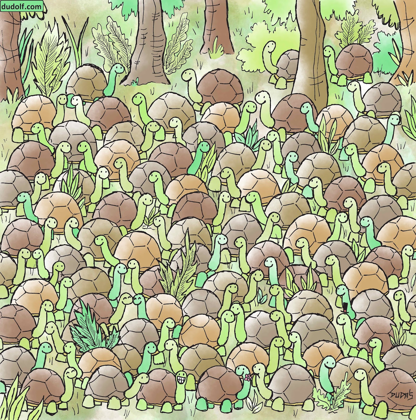 Can You Find A Snake Among The Tortoises? intended for Dudolf Hidden Pictures With Answers