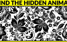 Can You Find The Hidden Things? | Tricky Picture Puzzles With Answers  (Brain Teasers For Adults) throughout Hidden Pictures Brain Teasers