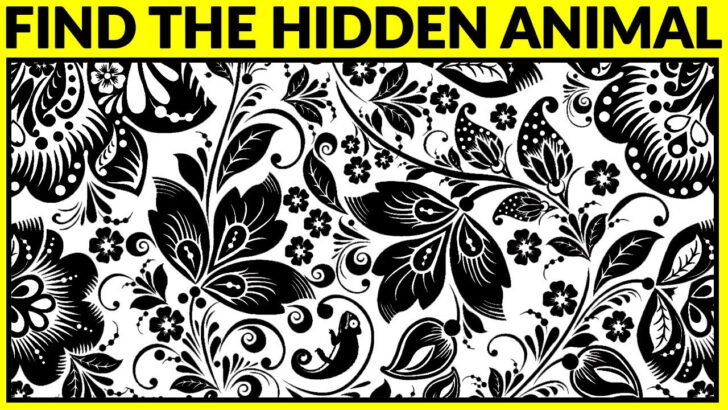 Hidden Pictures Brain Teasers Hidden Pictures Brain Teasers