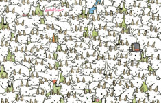 Can You Find The Sheep Among The Goats In This Brainteaser? inside Sheep Find a Hidden Picture Page