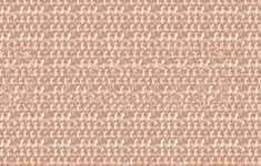 Can You See The Hidden Image? - Škoda Storyboard with Eye Focus Hidden Pictures