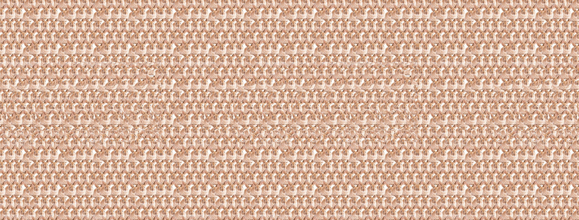 Can You See The Hidden Image? - Škoda Storyboard with Eye Focus Hidden Pictures