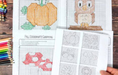 Coordinate Graphing Pictures: How To Use For Fall Fun (Free)- Rock for Coordinate Graphing Hidden Pictures